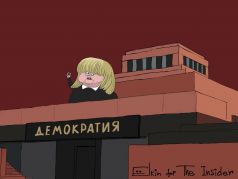Элла Памфилова и отмена выборов в Приморье. Карикатура: С. Елкин, theins.ru